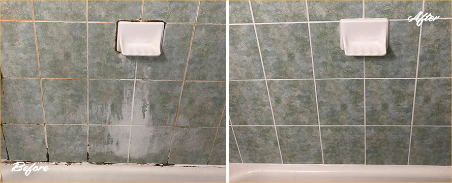 Shower Wall Before and After a Tile Cleaning in Wilmington