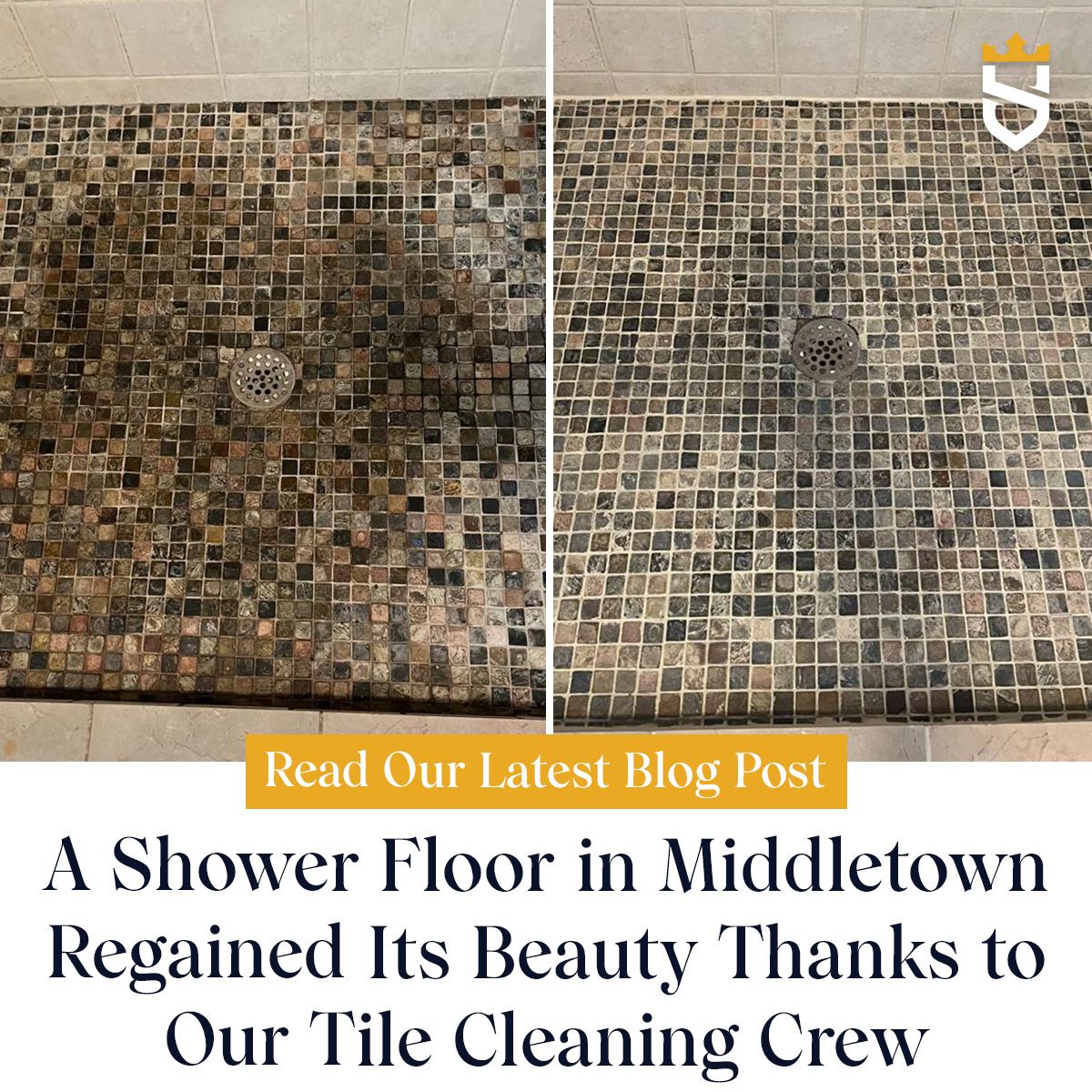 A Shower Floor in Middletown Regained Its Beauty Thanks to Our Tile Cleaning Crew